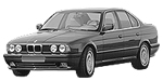 BMW E34 P1446 Fault Code